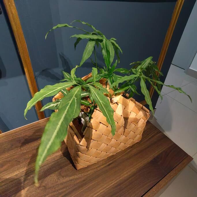Alocasia Geniehome 3Br Free Wifi @ Utropolis Shah Alam Buitenkant foto